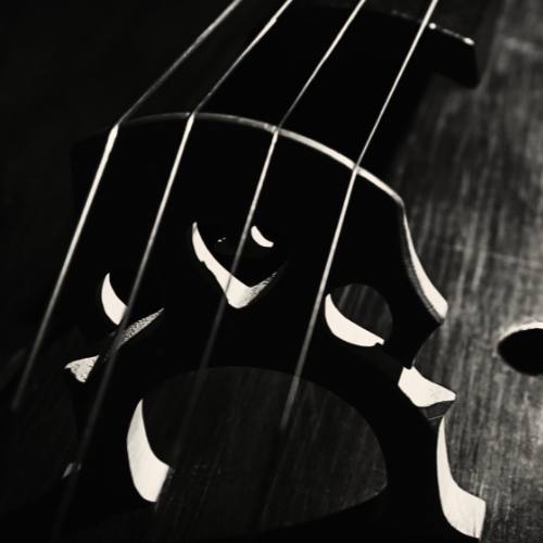 CLASES DE MÚSICA CON INSTRUMENTO EL BAJO EN LA ACADEMIA EFECTO MOZART DE LORCA EN MURCIA Aprende a tocar el bajo, el instrumento que une a los demás