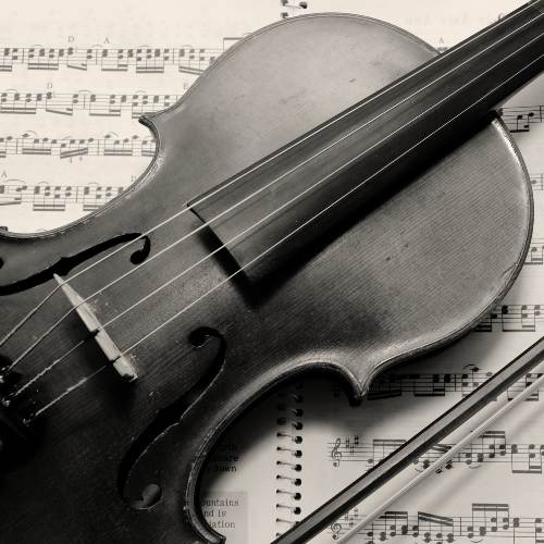 CLASES DE VIOLIN EN LA ACADEMIA DE MUSICA Y CANTO EFECTO MOZART EN LORCA MURCIA Clases de violín para adultos adaptadas a tu ritmo. Variedad de estilos clásico, blues, folk. Empieza hoy mismo.