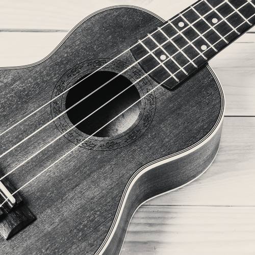 CLASES UKELELE EN LA ACADEMIA EFECTO MOZART EN LORCA MURCIA La escuela ofrece clases de Ukelele de gran calidad para estudiantes de todas edades y de todos niveles. Cursos de Ukelele Intensivos o a tu ritmo